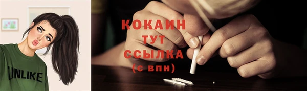 сатива Армянск